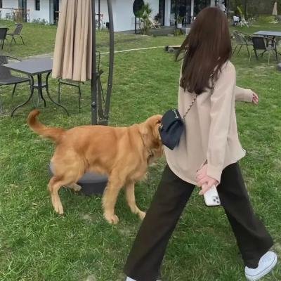 特技飞车人